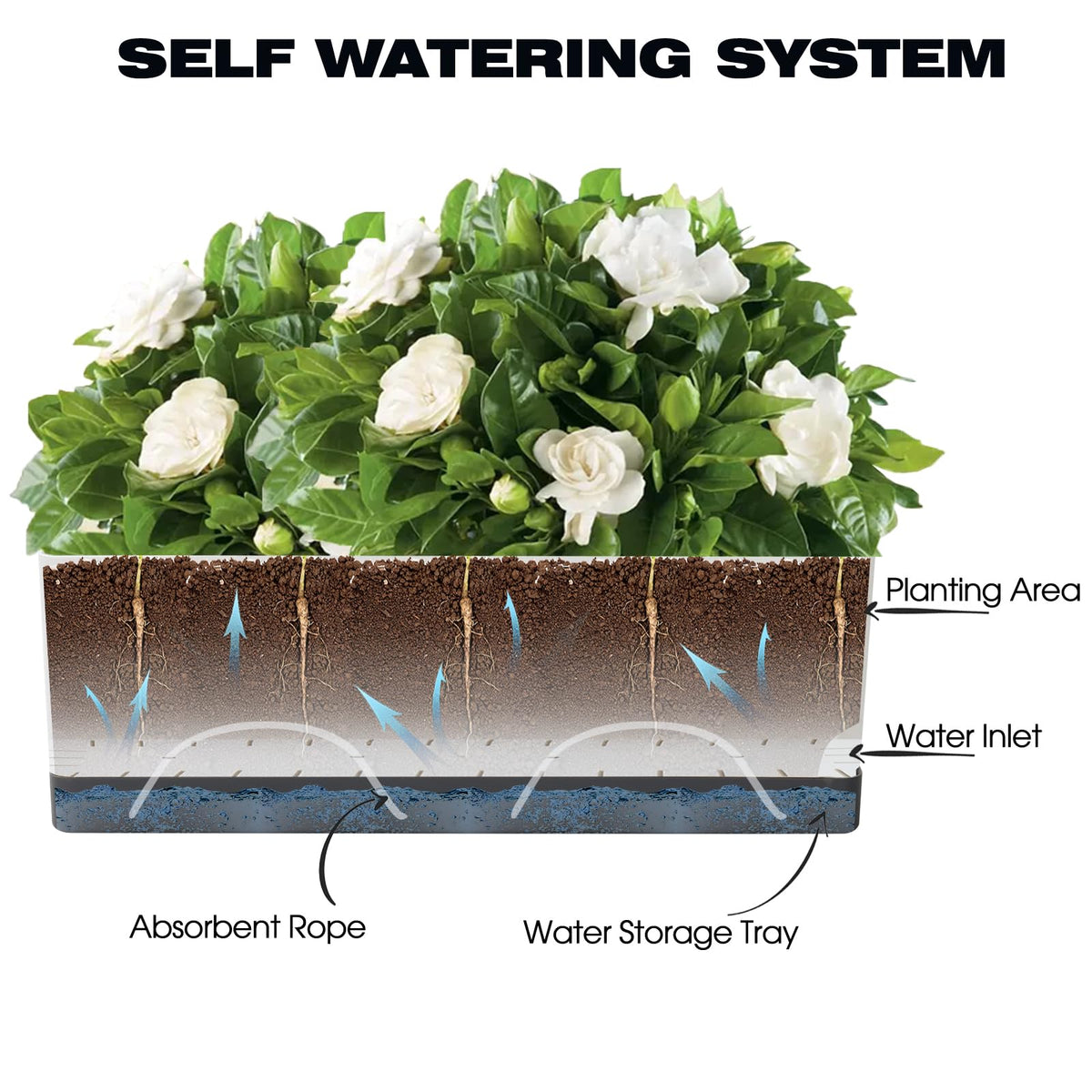 Vugosson water reservoir and cotton wick shown for steady plant moisture.