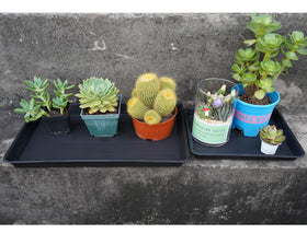 VUWEZ brown plastic saucer blends with decor and planters