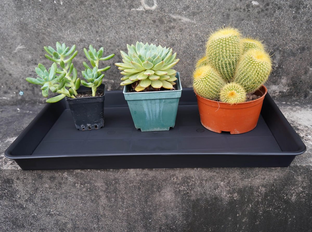 VUWEZ indoor-outdoor tray complements windowsills and shelves.