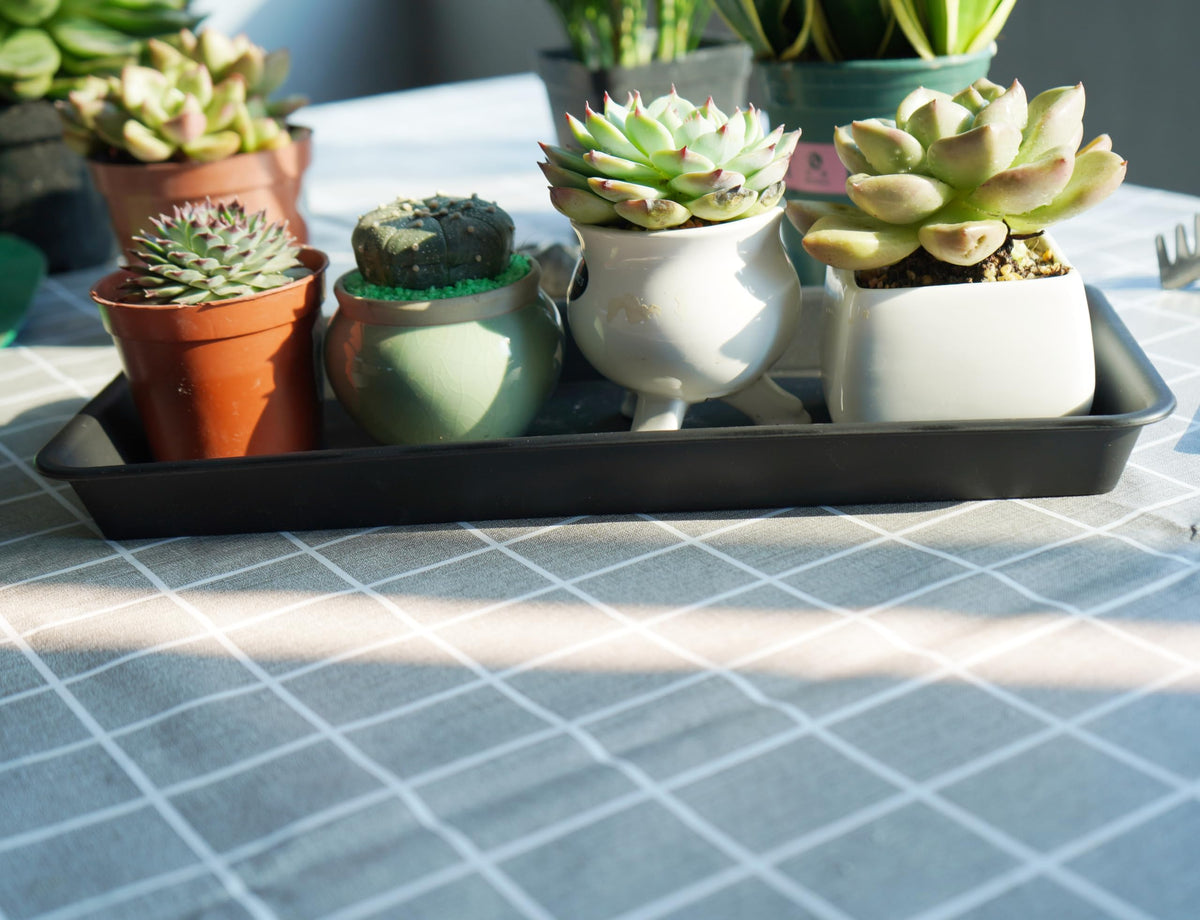 VUWEZ indoor-outdoor rectangular tray fits most pots and protects surfaces.