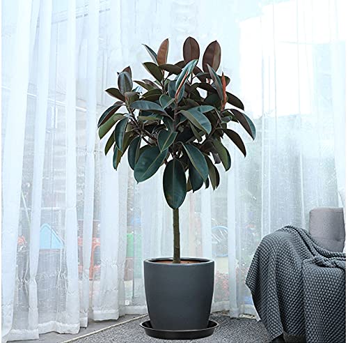VUWEZ durable 200-lb capacity supports larger pots without wobble