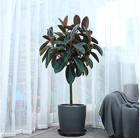 VUWEZ durable 200-lb capacity supports larger pots without wobble