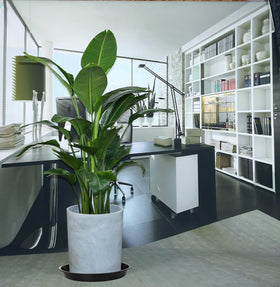 VUWEZ floor-protection saucer for indoor/outdoor use with a clean look