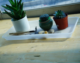 VUWEZ brown plant saucer set helps organize pots