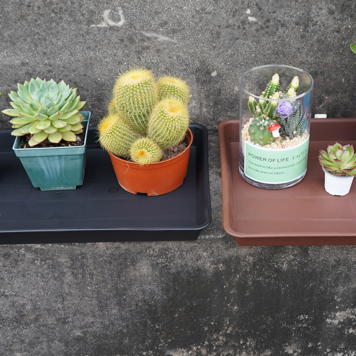 VUWEZ pot compatibility: fits many pot bottoms up to 13 inches.