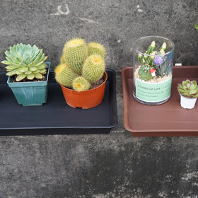 VUWEZ pot compatibility: fits many pot bottoms up to 13 inches.