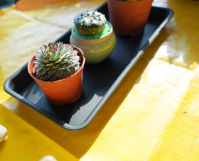 VUWEZ thickened planter tray, 16inch, supports up to heavy pots and reduces mess.