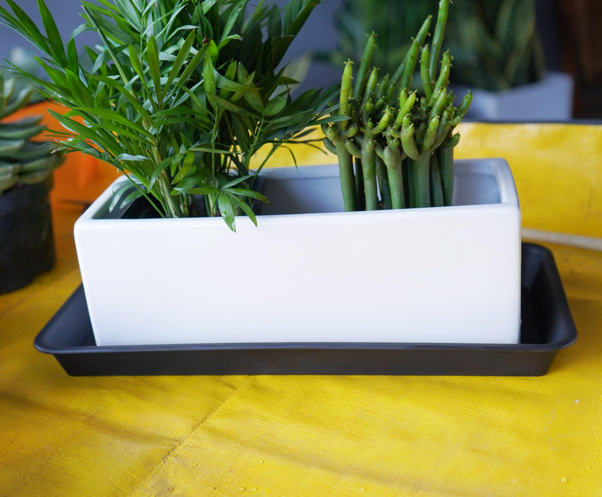 VUWEZ large rectangular tray designed for windowsills and shelves.