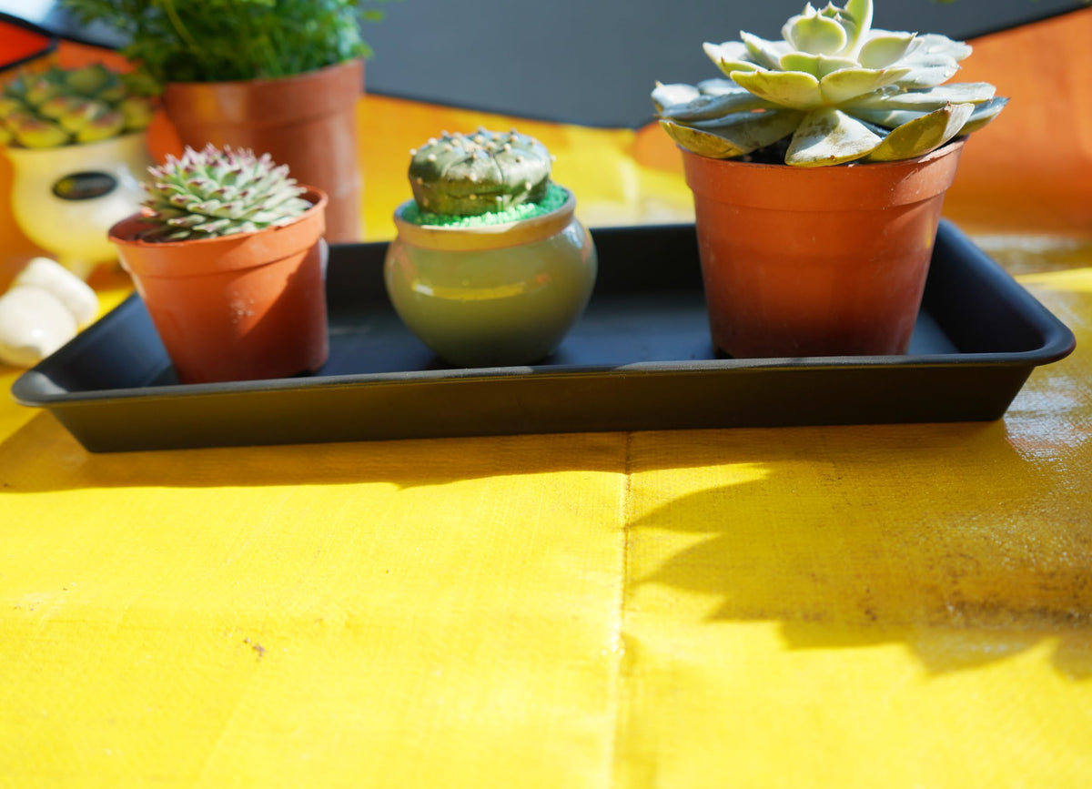 VUWEZ 2-pack plant trays ideal for multiple pots and setups.