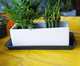 VUWEZ windowsill plant tray 16inch, keeps spills away while decorating your space.