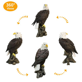VV-Ladybug bald eagle statue on desk or shelf suits home offices.