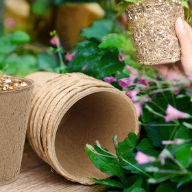 vwpvdeeg ideal for indoor and outdoor seed starting and germination.