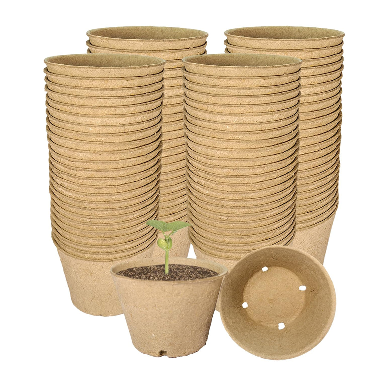 vwpvdeeg 4-inch peat pots ready for seed starting and root-safe transplanting.