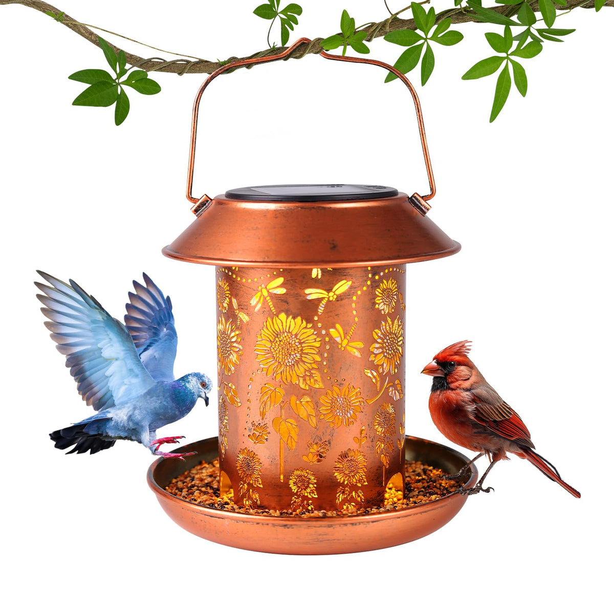 WACLSTDAY weatherproof outdoor feeder keeps seeds dry and accessible