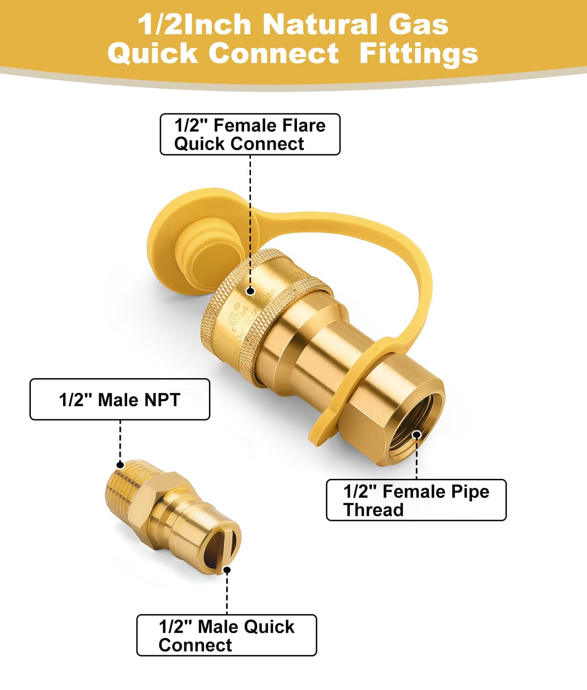 WADEO 1/2 inch NPT quick-connect demonstrating secure connection.