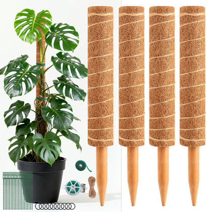 WAENLIR 48-inch moss pole ready for vertical Monstera growth