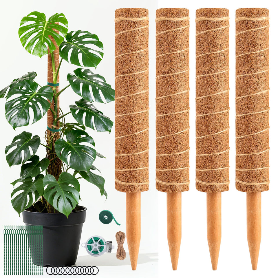 WAENLIR 48-inch moss pole ready for vertical Monstera growth