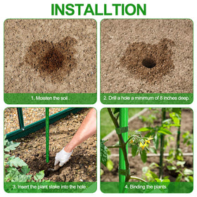 WAENLIR versatile stakes suitable for tomatoes, eggplants, cucumbers, and grapevines.