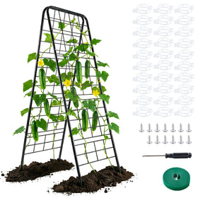 WAENLIR cucumber trellis front view shows sturdy 50x17 inch support for vines