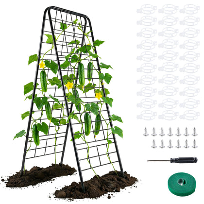WAENLIR cucumber trellis front view shows sturdy 50x17 inch support for vines