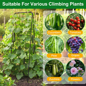 WAENLIR cucumber trellis in garden action with climbing plants
