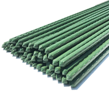 WAENLIR garden stakes 4ft tall provide sturdy tomato plant support.