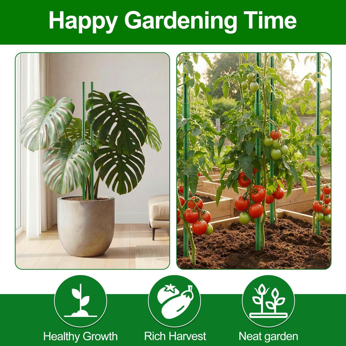 WAENLIR rotatable clips and plant ties enable neat training.