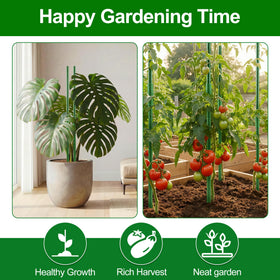 WAENLIR rotatable clips and plant ties enable neat training.