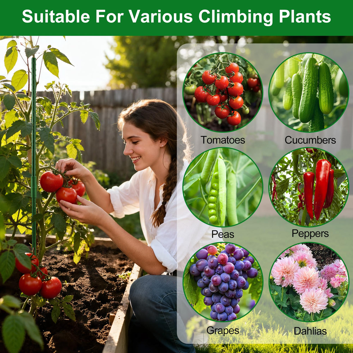 WAENLIR sturdy stakes support tall vines by forming triangles.
