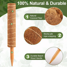WAENLIR versatile pole for Monstera, pothos, philodendron and more