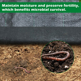 WAENLIR striped installation guide helps align plants for neat rows.