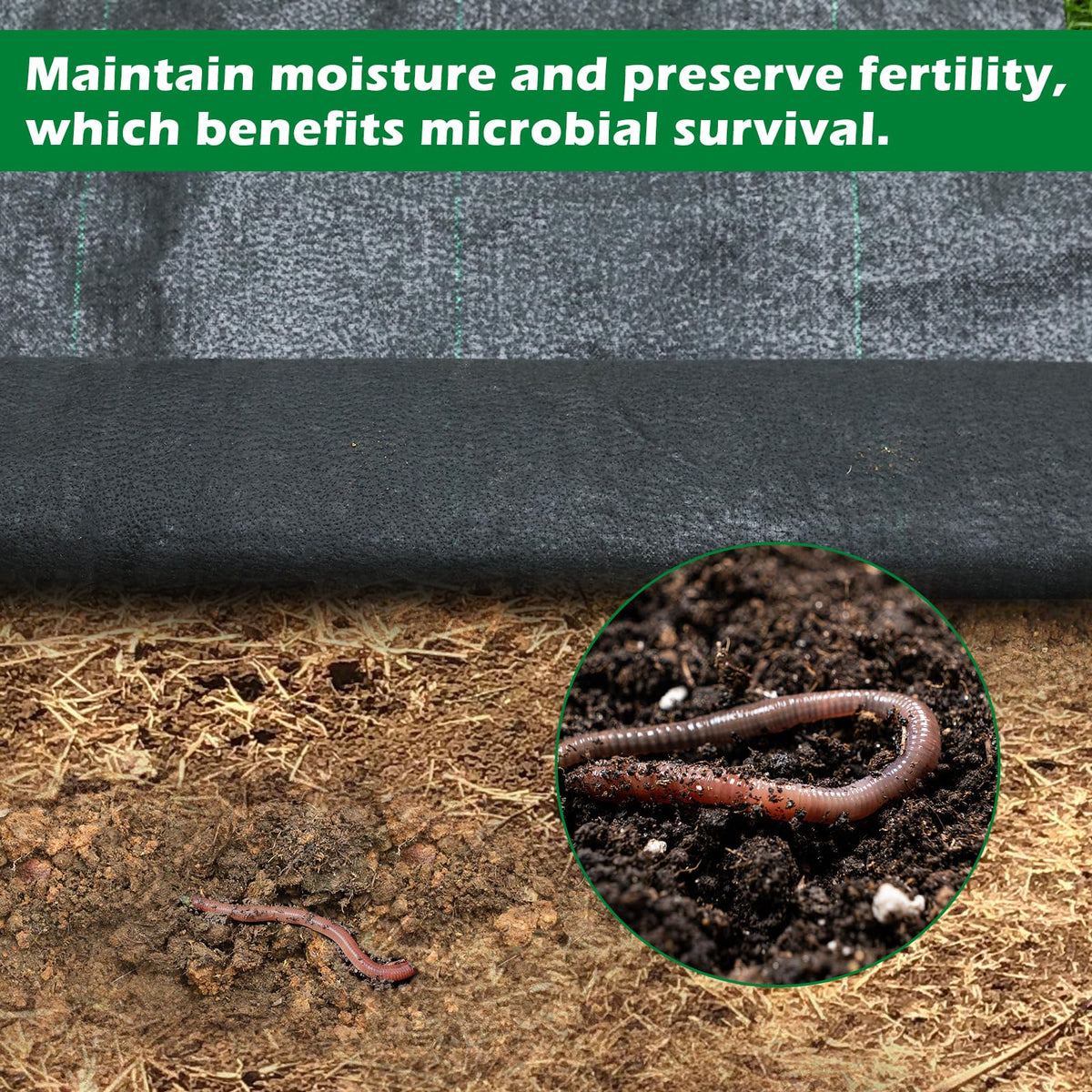 WAENLIR striped plant-alignment fabric guides precise bed layouts