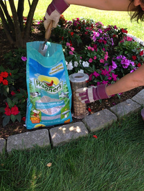 Wagner's Southern Regional Blend seed mix closeup highlighting safflower and sunflower for attracting songbirds.