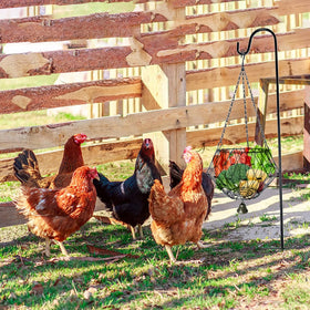 WaiLaDi foldable feeder bundle includes four chains and hook.