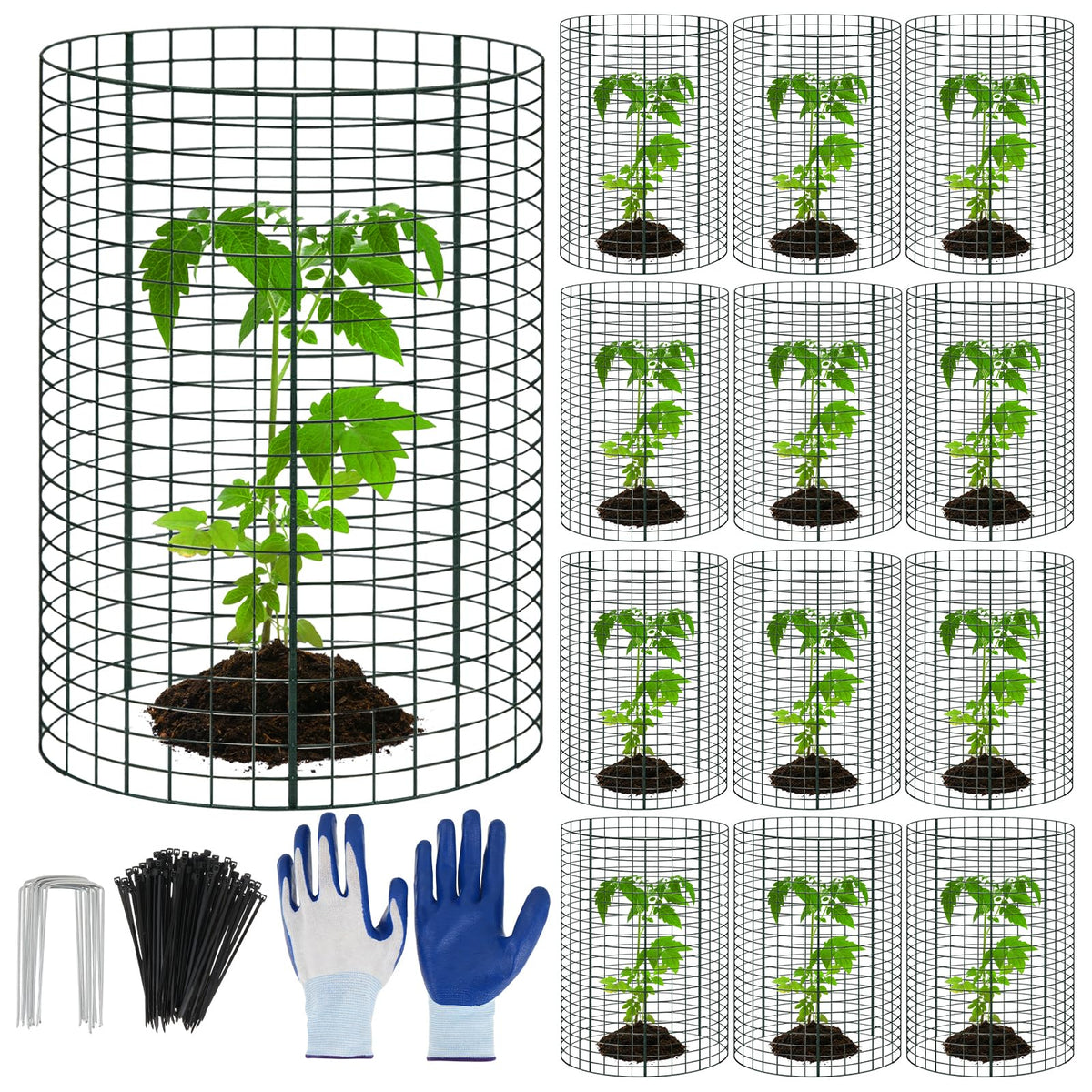 WAKCCIL plant protector cylinder around a young plant for protection and growth