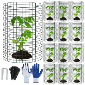 WAKCCIL plant protector cylinder around a young plant for protection and growth