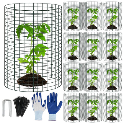 WAKCCIL plant protector cylinder around a young plant for protection and growth
