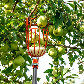 Walensee no-ladder fruit harvester helps reach higher branches.