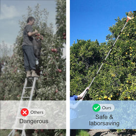 Walensee soft pad bottom protects fruit on impact.