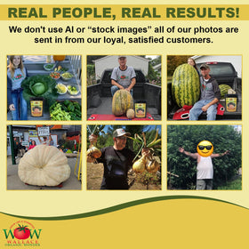 Healthy roots with Wallace Organic Wonder promote vigorous growth.