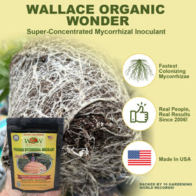 Applying Wallace Organic Wonder to the root zone for better establishment.