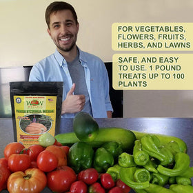 Soil infusion from Wallace Organic Wonder enhances nutrient and water absorption.