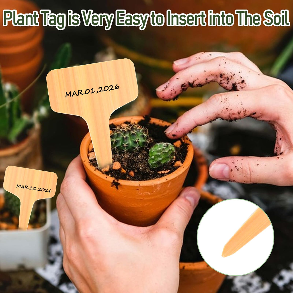 Wanateber outdoor garden label kit keeps beds organized across seasons