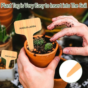 Wanateber outdoor garden label kit keeps beds organized across seasons