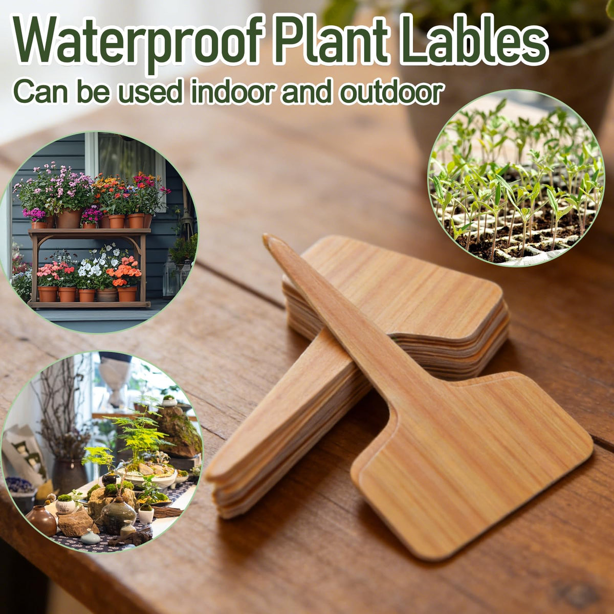 Wanateber seed-starting labels help track germination progress in pots