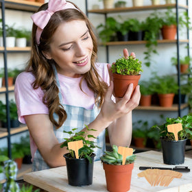 Wanateber vegetable and herb markers aid quick identification while watering