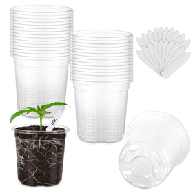 WandaQueen 3.5-inch clear nursery pot with drainage holes for seedling monitoring