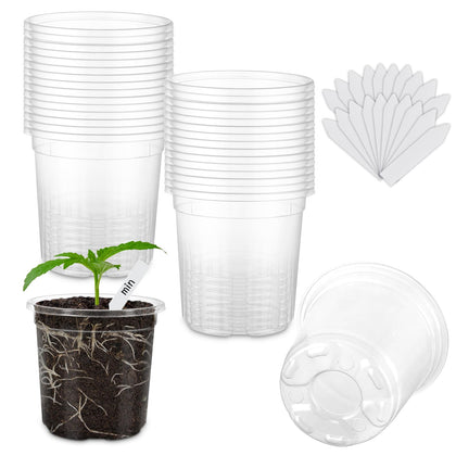 WandaQueen 3.5-inch clear nursery pot with drainage holes for seedling monitoring
