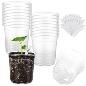 WandaQueen clear seedling pots 4-inch for easy seedling monitoring and watering.