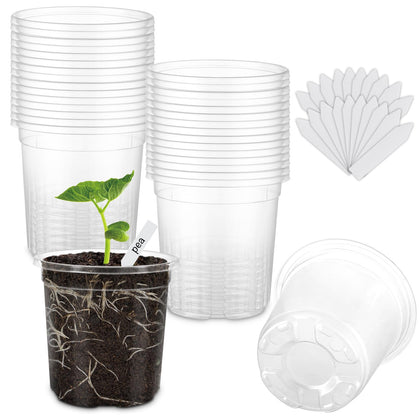 WandaQueen clear seedling pots 4-inch for easy seedling monitoring and watering.